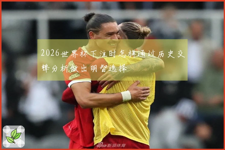2026世界杯下注时怎样通过历史交锋分析做出明智选择