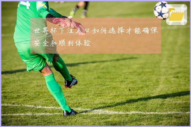 世界杯下注入口如何选择才能确保安全和顺利体验