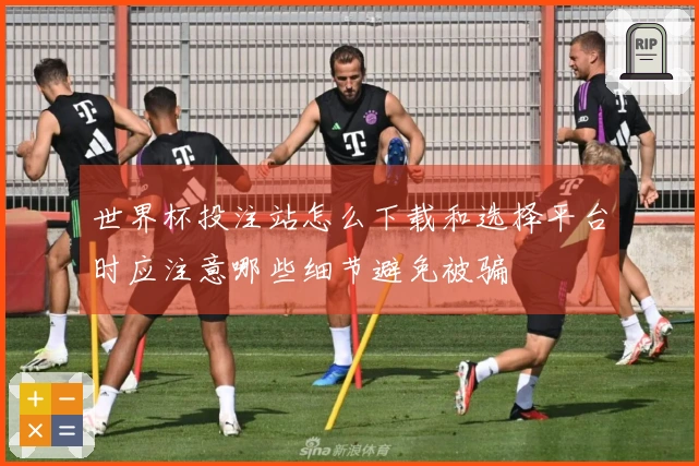 世界杯投注站怎么下载和选择平台时应注意哪些细节避免被骗